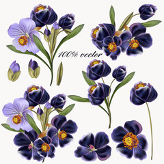Aufkleber - Vector set of realistic purple flowers isolated