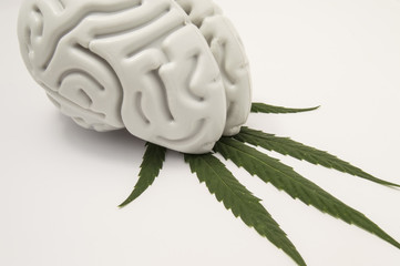 The figure of the human brain lies on a green leaf of hemp. The use of cannabis (Medical marijuana) in neurology or neuroscience (such as for pain relief). Marijuana dependence or addiction.