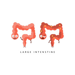 Poster - Healthy vs Unhealthy Large Intestine Infographic Illustration