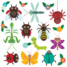 Funny Insects Set Spider Butterfly Caterpillar Dragonfly Mantis Beetle Wasp Ladybugs On White Background With Flowers And Leaves. Vector