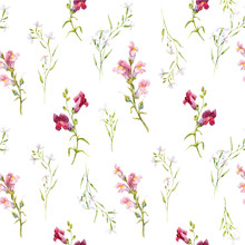 Watercolor Snapdragons Pattern