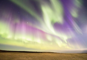 Wall Mural - Aurora borealis display, northern lights in Iceland

