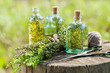 Bottles of thyme, estragon and rosemary essential oil or infusio