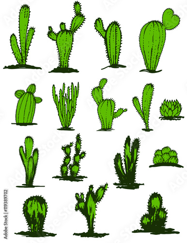 Collection Hand Drawn Green Cacti Vector Ilration Diffe Collection Hand Drawn Green Cacti Vector Ilration Diffe Types Of Cactus Plants Realistic Decorative