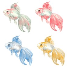 Fish Set. Goldfish. Watercolor Painting. 