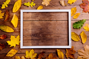 Wall Mural - autumn leaf composition with picture frame. copy space.