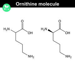 Canvas Print - Ornithine molecular structure