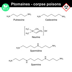 Wall Mural - Ptomaines chemical formulas