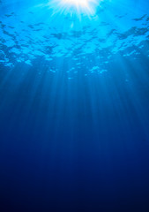underwater blue background in sea