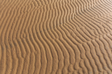 Furrows and ripples on wet sand texture