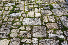 Old Cobblestone Pavement With Moss Growing Between Stones