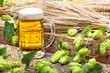 glass of beer with hops and raw material for beer production