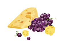 Cheese Slices And Grapes Isolated Vector Illustration