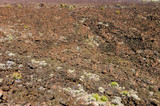 Fototapeta Sawanna - Lava Beds National Monument