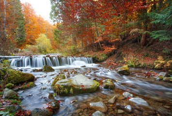 beautiful waterfall in forest, autumn landscape