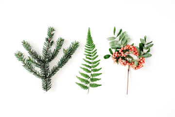 Wall Mural - branches of pine needles, ferns and mountain ash. flat lay, top view autumn wallpaper