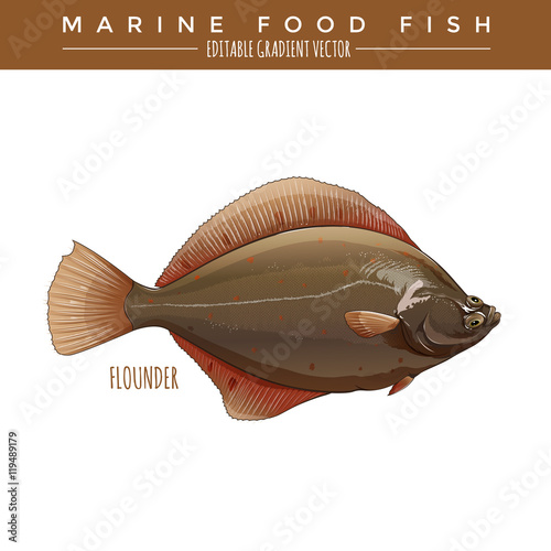 Flounder. Marine Food Fish Poster Mural XXL