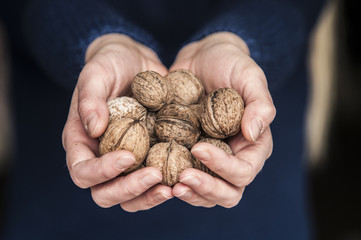 Wall Mural - Woman holding walnuts, closeup