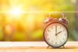 2 o' Clock and Morning sun with Bright and Flare Day Light Blur Green Garden Background with space for text.