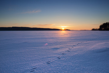 A wintry sunset. An image of a sunset on a cold winter day. Sun is going down behind a lake covered with ice and snow and footprints of an animal. Some forest is in the background. 