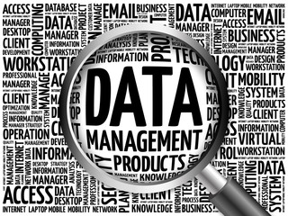 Poster - Data Management word cloud with magnifying glass, business concept 3D illustration