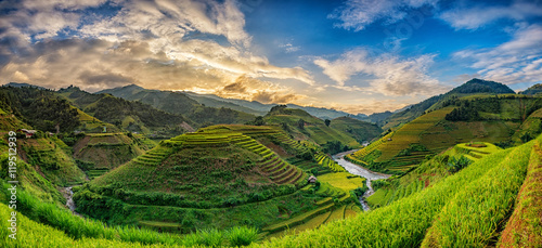 Valokuvatapetti Green Rice fields on terraced in Mu cang chai, Vietnam Rice fiel