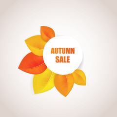 Wall Mural - Autumn Sales Banner With Colorful Leaves. Vector.

