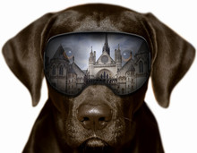 Czarny Pies W Londynie, Fotomontaż
