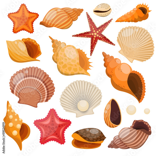 Shells And Sea Stars Icon Set