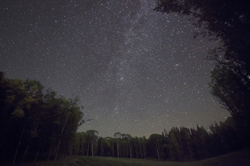 Canvas Print - Night