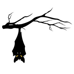 Wall Mural - halloween bat on tree branch
