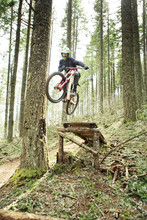 Low Angle View Of Cyclist Jumping With Bicycle In Forest