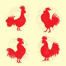 Set Of Rooster Labels. Vintage Style Cock Illustration On Hand Drawing Sunburst Background Or Sun Ray Frame In Vintage Hipster Style Collection. Ink Brush Painting Imitation With Splashes.