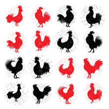 Set Of Rooster Labels. Vintage Style Cocks Illustration On Hand Drawing Sunburst Background Or Sun Ray Frame In Vintage Hipster Style Collection. Ink Brush Painting Imitation With Splashes And Dust.