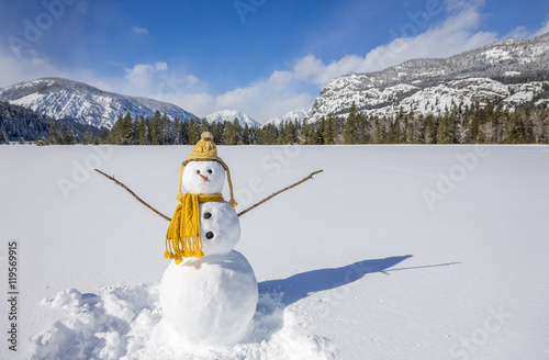 Fotografie, Obraz Cute fun snowman with knit hat and scarf in snowy winter landscape field with mo