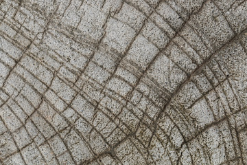 Poster - design on cement and concrete texture for background