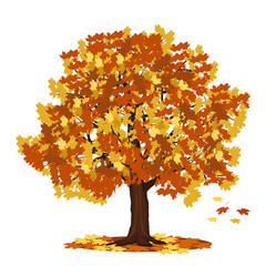 Wall Mural - tree maple with red and yellow leaves