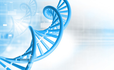 Wall Mural - DNA structure. Digital illustration .