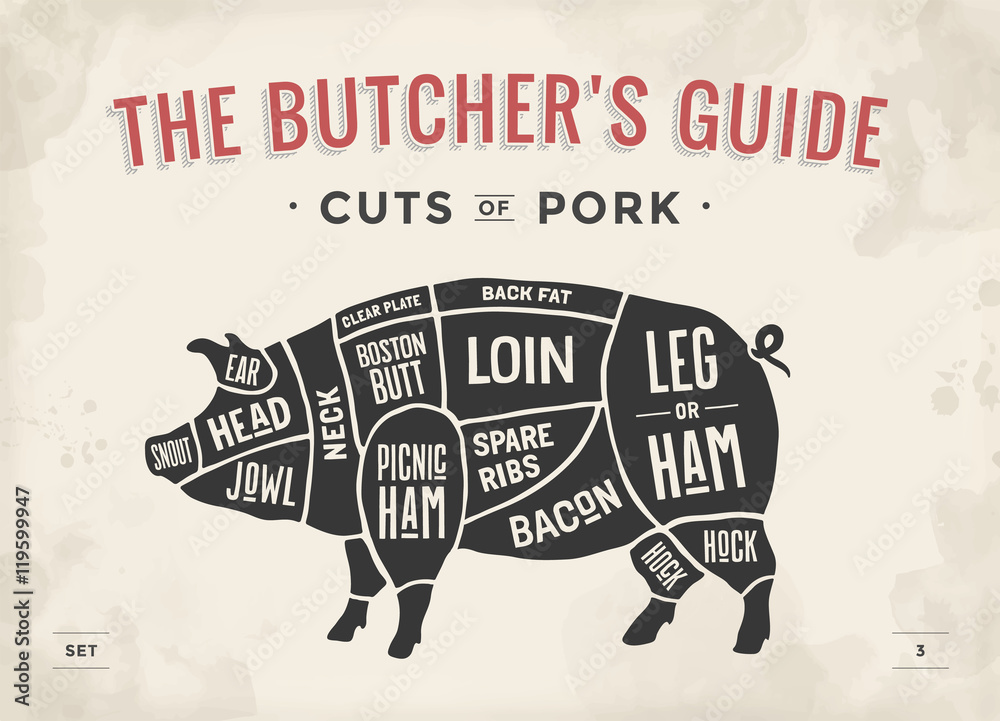 Cut of meat set. Poster Butcher diagram, scheme and guide - Pork ...