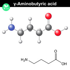 Canvas Print - gamma Aminobutyric acid synaptic neurotransmitter