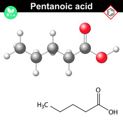 Wall Mural - Valeric acid molecular model and chemical structure