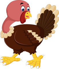 Poster - turkey bird cartoon