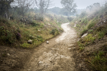 a pedestrian rural path at dawn in the countryside on a foggy day 