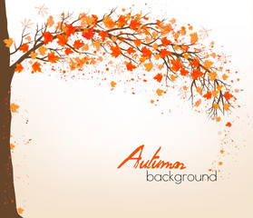 Aufkleber - Autumn abstract background with colorful leaves. Vector