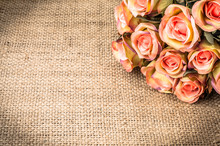Pink Roses On Canvas Background
