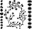© peacock83 - Branches and flower heads