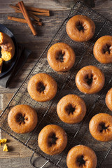 Poster - Homemade Glazed Autumn Pumpkin Donuts