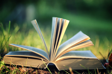 Canvas Print - open book with flower on grass