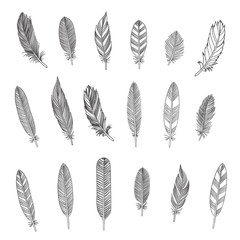 rustic feathers