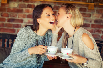 Two young female friends gossiping in a bar